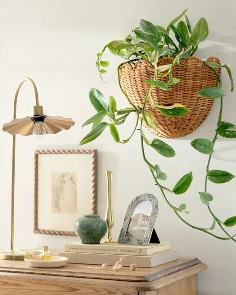 Home decor collection